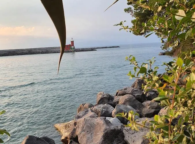 Clipper Отель типа 